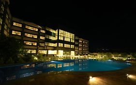Vividus Sleek Cn Windsor, Chikmagaluru